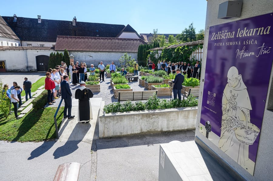 Vrt spomladi – uvodna fotografija objave
